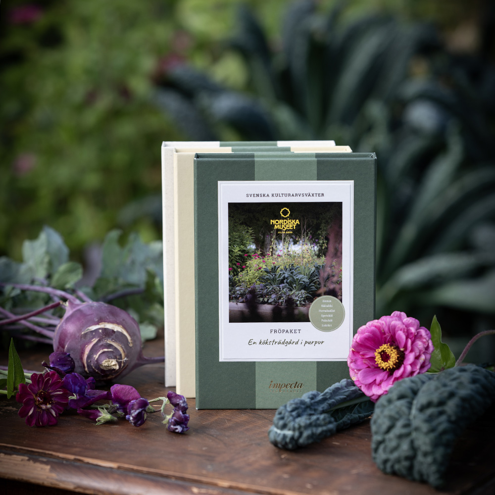 Ein Gemüsegarten in Purpur