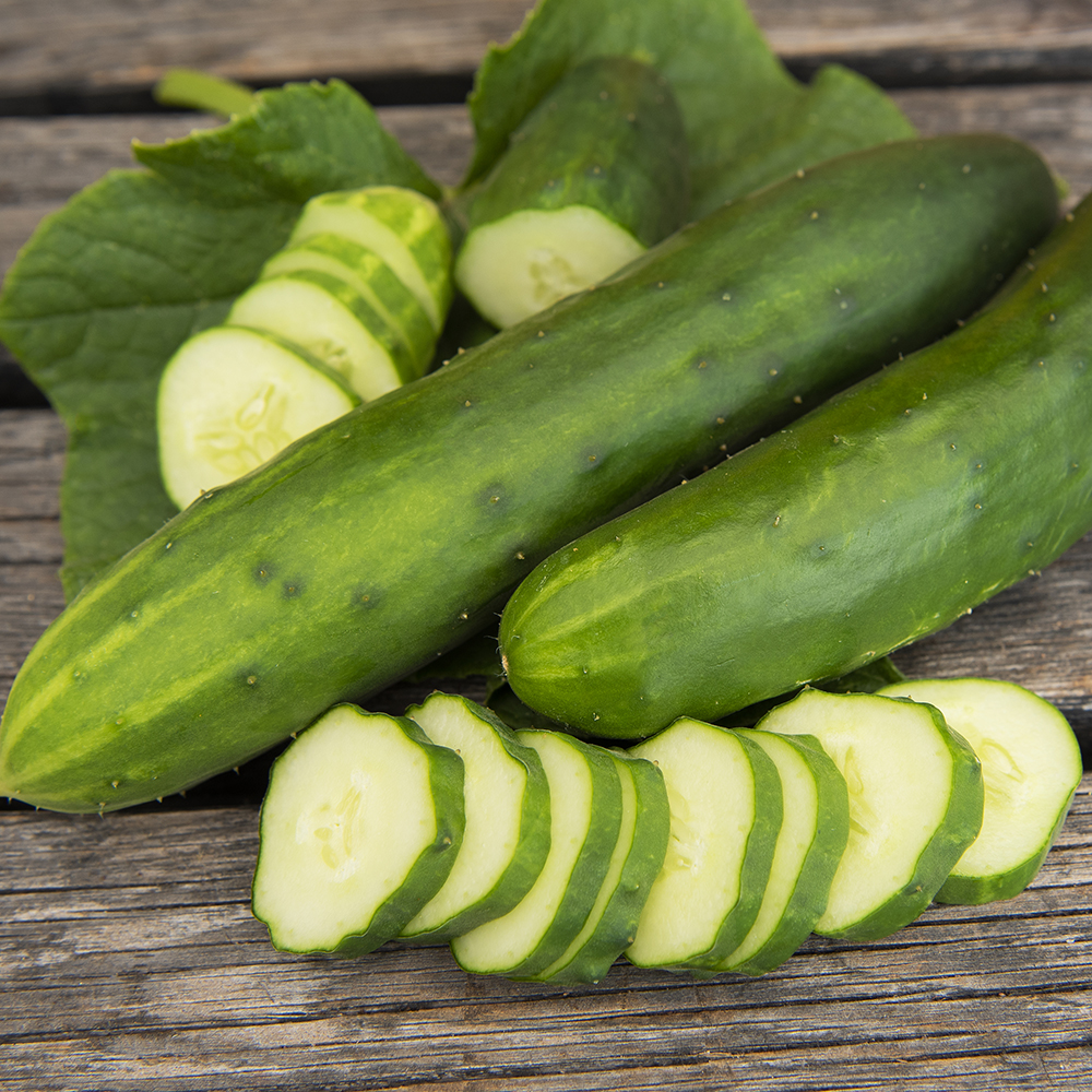Salatgurke 'Marketmore'