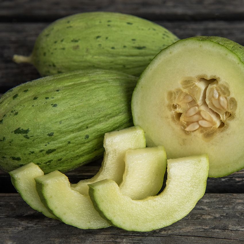 Melone 'Pinonet Piel de Sapo' in der Gruppe Samen / Gemüse bei Impecta Fröhandel (93642)