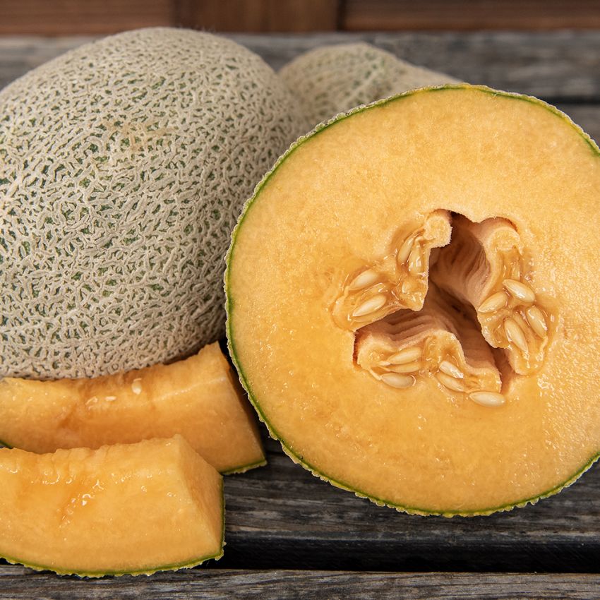 Melone 'Hale's Best Jumbo' in der Gruppe Samen / Gemüse bei Impecta Fröhandel (93652)