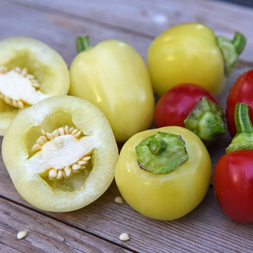 Tomatenpaprika 'Ontara' in der Gruppe Samen / Gemüse bei Impecta Fröhandel (94201)