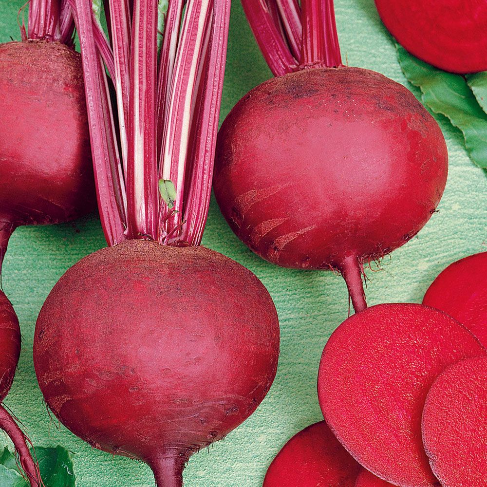 Rote Bete 'Detroit Dark Red 2' in der Gruppe Samen / Gemüse bei Impecta Fröhandel (9510)