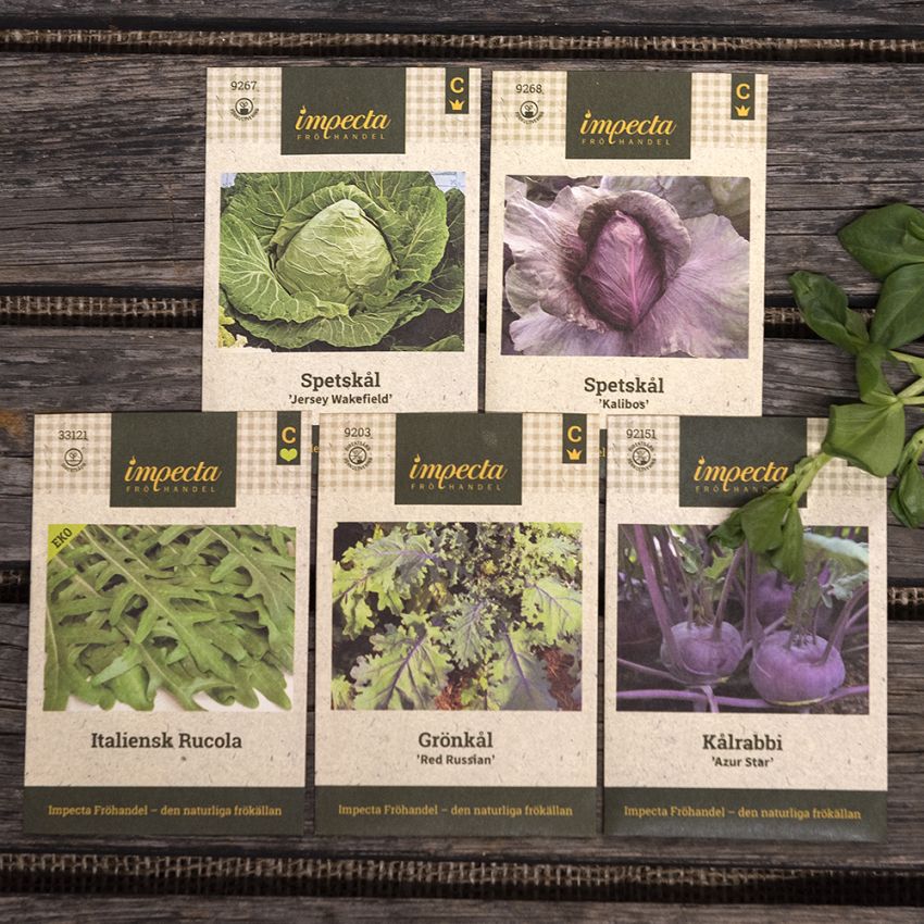 Onkel Grüns Favoriten - Kohlpflanzen in der Gruppe  bei Impecta Fröhandel (H1002)