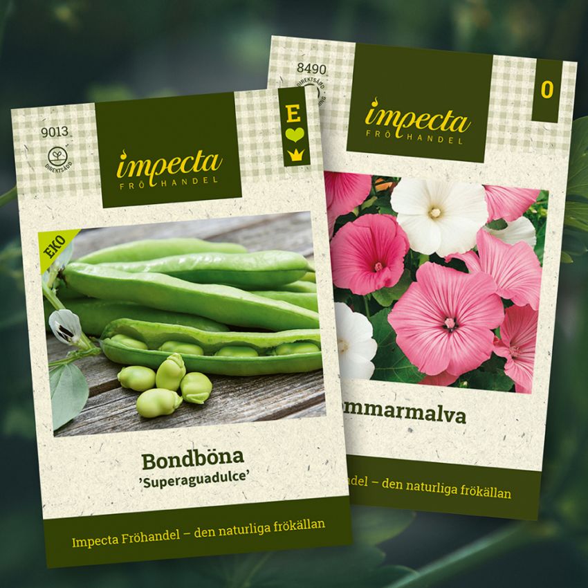 Saubohne & Sommermalve in der Gruppe Saras Bäckmos Favoriten / Sara Bäckmo - Blumen und Gemüse gemeinsam pflanzen bei Impecta Fröhandel (H1005)
