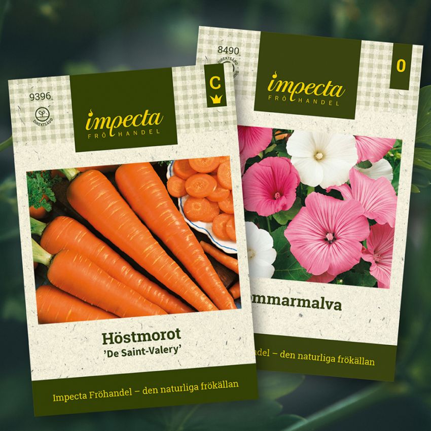 Karotte & Sommermalve in der Gruppe Saras Bäckmos Favoriten / Sara Bäckmo - Blumen und Gemüse gemeinsam pflanzen bei Impecta Fröhandel (H1007)