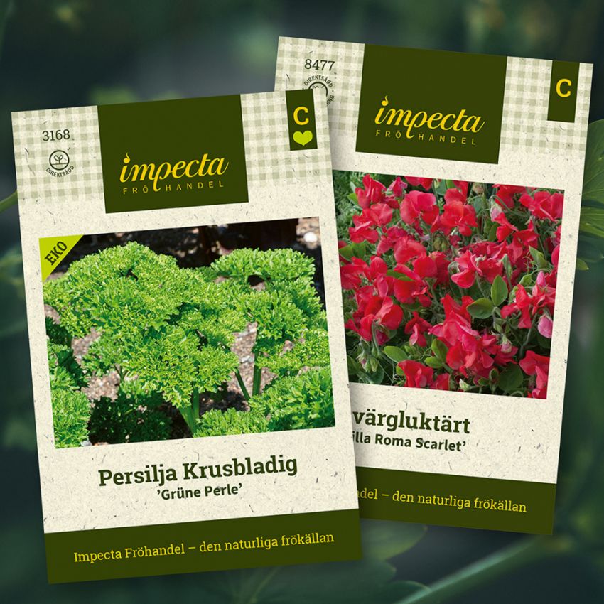 Petersilie & Zwergduftpflanze in der Gruppe Saras Bäckmos Favoriten / Sara Bäckmo - Blumen und Gemüse gemeinsam pflanzen bei Impecta Fröhandel (H1008)