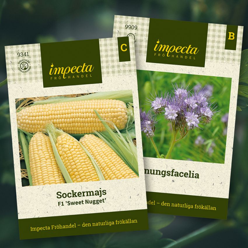 Zuckermais & Honigfazelia in der Gruppe Saras Bäckmos Favoriten / Sara Bäckmo - Blumen und Gemüse gemeinsam pflanzen bei Impecta Fröhandel (H1016)