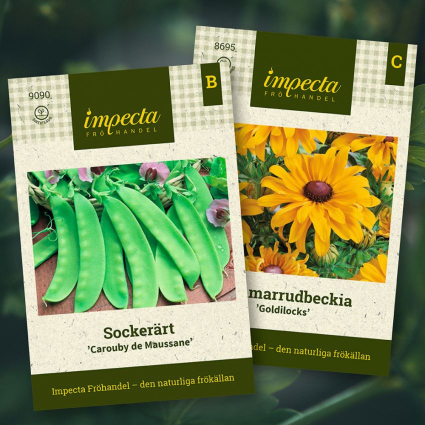 Zuckererbse & Sommer-Sonnenhut in der Gruppe Saras Bäckmos Favoriten / Sara Bäckmo - Blumen und Gemüse gemeinsam pflanzen bei Impecta Fröhandel (H1017)