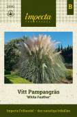 Pampasgras 'White Feather'