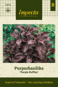 Purpur-Basilikum 'Purple Ruffles'