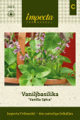 Strauchbasilikum 'Vanilla Spice'