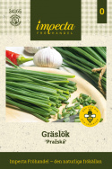 Schnittlauch 'Pražská', Traditionelles Würzkraut . Früh und schnellwachsend mit feinen, dünnen und hellgrünen Blättern.