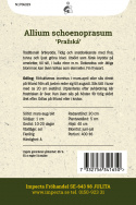 Schnittlauch 'Pražská', Traditionelles Würzkraut . Früh und schnellwachsend mit feinen, dünnen und hellgrünen Blättern.