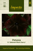 Petunie ‘Debonair Black Cherry’