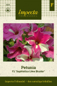 Großblütige Petunie 'Sophistica Lime Bicolor'