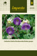 Glockenrebe