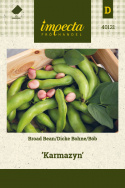 Dicke Bohne 'Karmazyn'