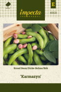 Dicke Bohne 'Karmazyn'
