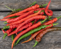 Chili 'Cayenne Long Slim'