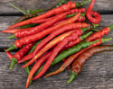 Chili 'Cayenne Long Slim'