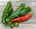 Chili 'Anaheim Chili'