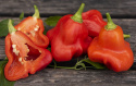 Chili 'Nepalese Bell'