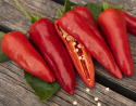 Chili 'Gorria'