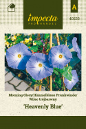 Prunkwinde 'Heavenly Blue'