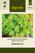 Zitronenmelisse 'Mandarina'