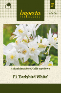 Akelei F1 'Earlybird White'