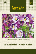 Akelei F1 'Earlybird Purple White'
