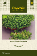 Gartenkresse 'Cresso'