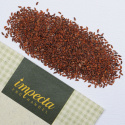 Gartenkresse 'Cresso'