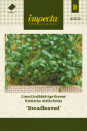 Großblättrige Kresse 'Broadleaved'