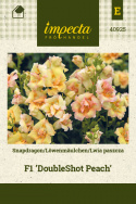 Löwenmäulchen 'DoubleShot Peach'