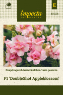 Löwenmäulchen F1 'DoubleShot Appleblossom'