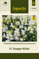 Löwenmäulchen F1 'Snappy White'