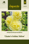 Stockrose 'Chater's Golden Yellow'