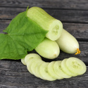Salatgurke 'Delistar'