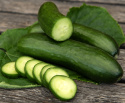 Snackgurke 'Kalimero'