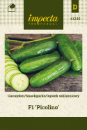Salatgurke F1 'Picolino'