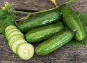 Salatgurke F1 'Picolino'