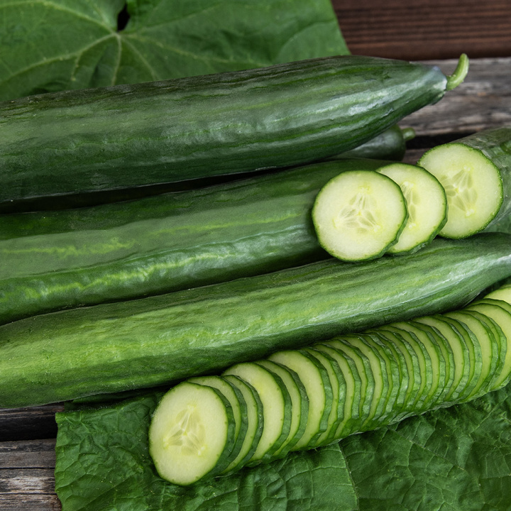 Salatgurke F1 'Kalunga'