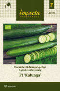 Salatgurke F1 'Kalunga'