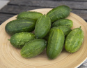 Einlegegurke F1 'Anulka'