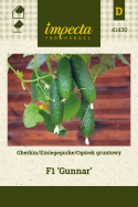 Einlegegurke 'Gunnar'
