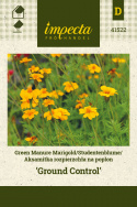 Tagetes 'Ground Control'