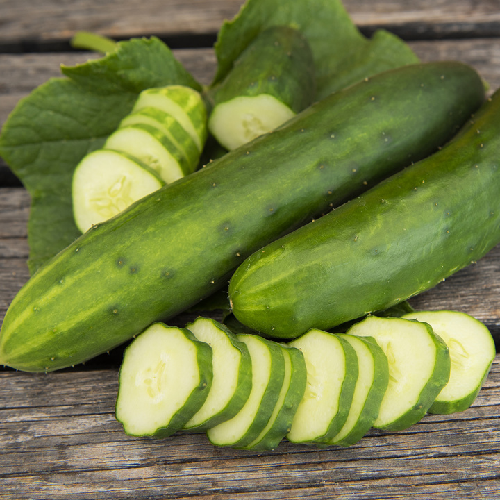 Salatgurke 'Marketmore'