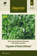 Glatte Petersilie 'Gigante d'Italia/Hilmar'