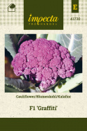 Blumenkohl F1 'Graffiti'